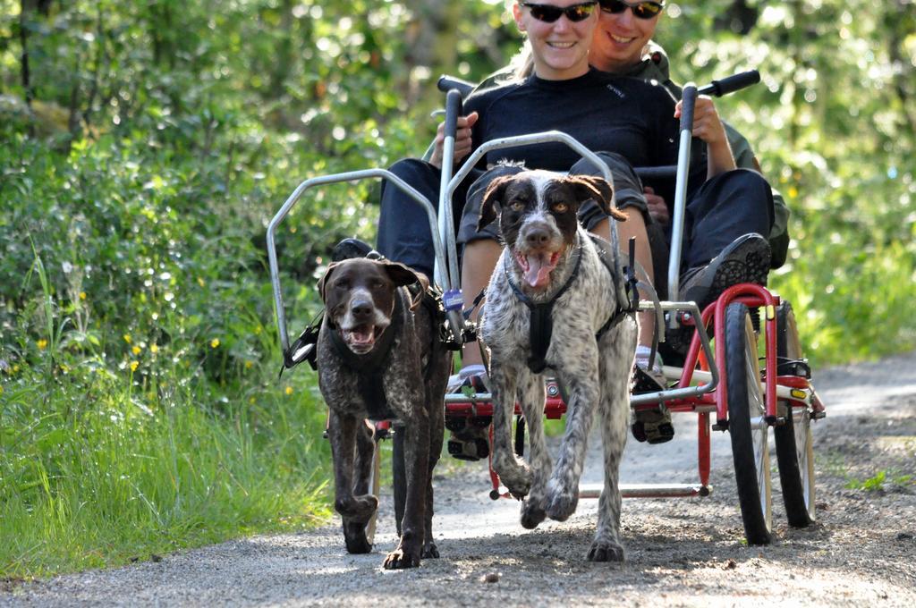 Birkelund Camping Geilo Buitenkant foto