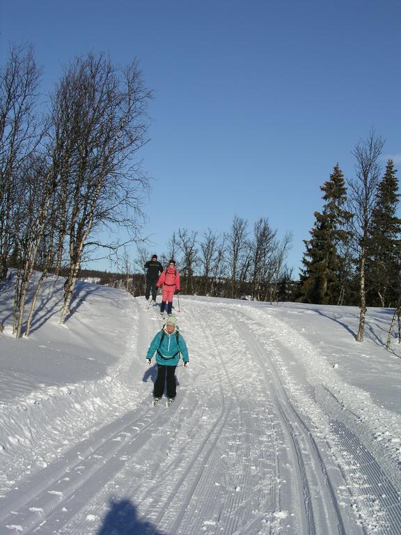 Birkelund Camping Geilo Buitenkant foto