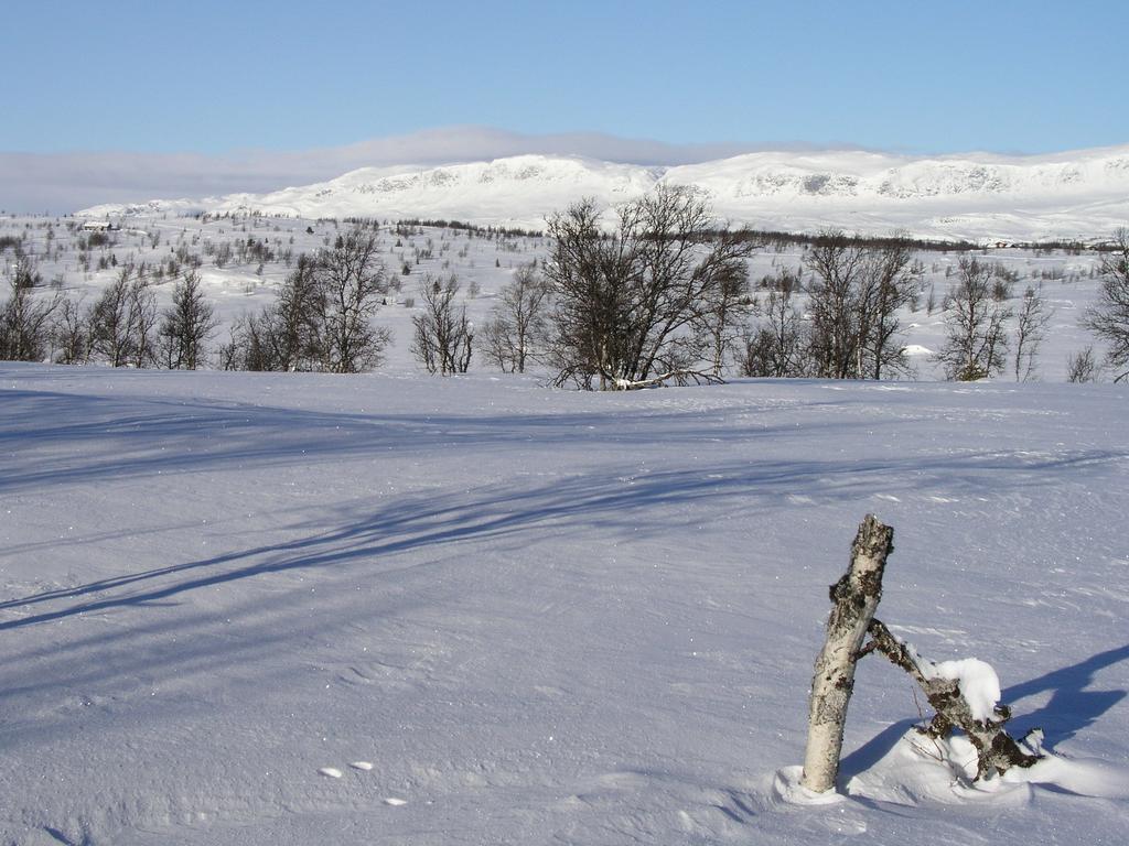 Birkelund Camping Geilo Buitenkant foto