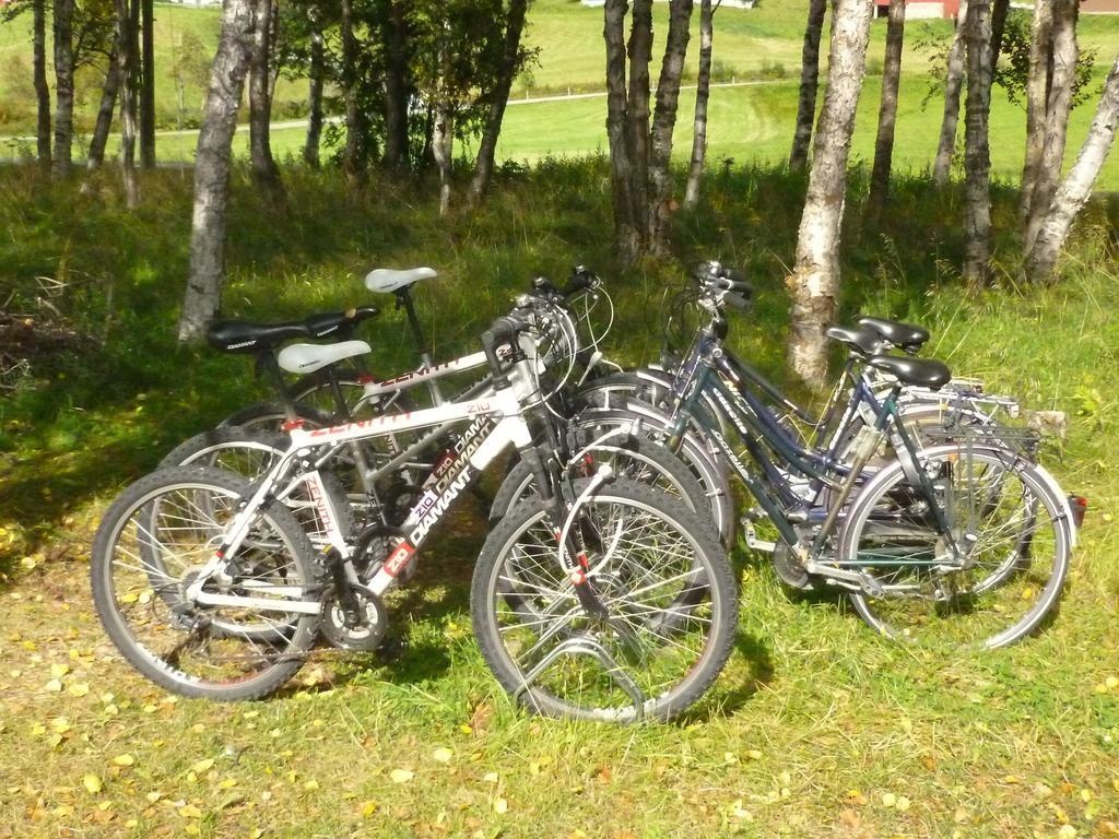 Birkelund Camping Geilo Buitenkant foto