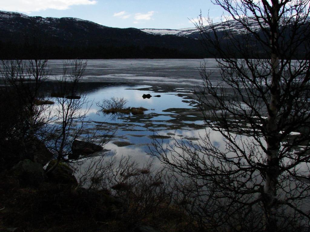 Birkelund Camping Geilo Buitenkant foto